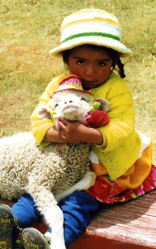 girl sheep lamb baby holding